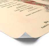 ドイツ語の筋肉解剖学ヴィンテージプリント ポスター (角)