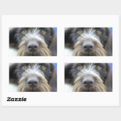 ドイツ語の線毛ポインタステッカー 長方形シール (シート)