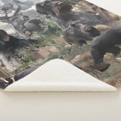 ドイツ語の金髪ポインタ シェルパブランケット (3/4)