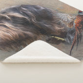 ドイツ語の金髪ポインタ シェルパブランケット (3/4)