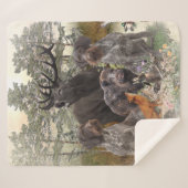 ドイツ語の金髪ポインタ シェルパブランケット (正面(横))