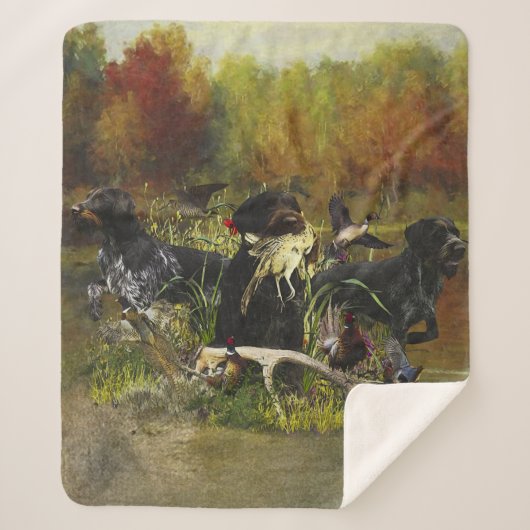 ドイツ語の金髪ポインタ シェルパブランケット (正面)