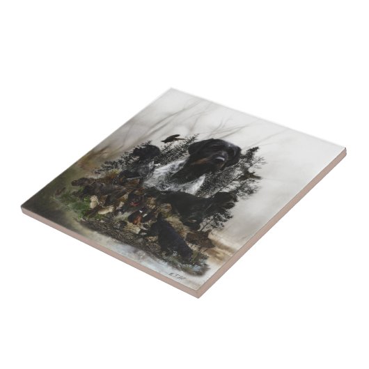 ドイツ語の金髪ポインタ タイル (側面)