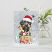 ドイツ語の金髪ポインタ、ボア狩りカード カード (スタンド正面)