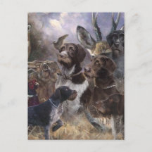 ドイツ語の金髪ポインタ