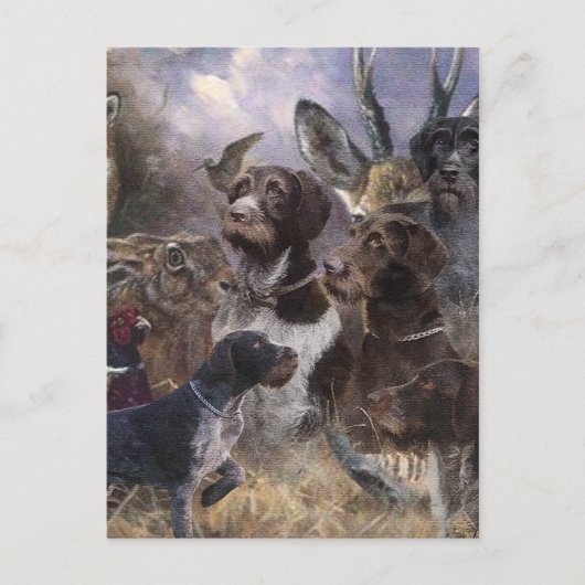 ドイツ語の金髪ポインタ ポストカード (正面)