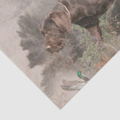 ドイツ語の金髪ポインタ 薄葉紙 (詳細)