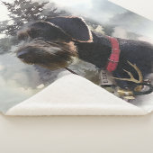 ドイツ語の金髪ポインタ、GWP シェルパブランケット (3/4)