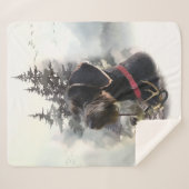 ドイツ語の金髪ポインタ、GWP シェルパブランケット (正面(横))