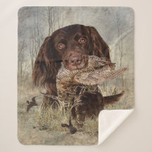 ドイツ語の長髪のポインタ