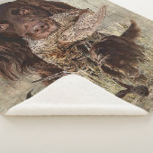 ドイツ語の長髪のポインタ シェルパブランケット (3/4)