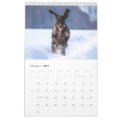 ドイツ語ショートポインタ2024カレンダーGSP Dog カレンダー (1月 2027)