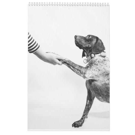 ドイツ語ショートポインタ2024カレンダーGSP Dog カレンダー (裏面)
