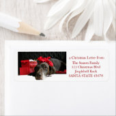 ドイツ語ショートポインタ@ fireplace ラベル (インサイチュ)