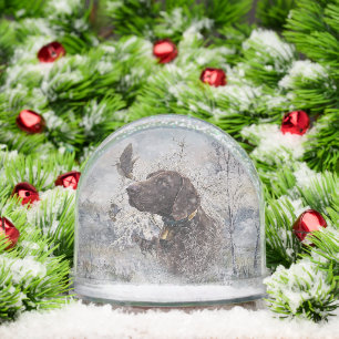 ドイツ語ポインタ