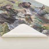 ドイツ語ポインタ シェルパブランケット (3/4)