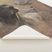 ドイツ語ポインタ・ドイツ語Kurzhaar シェルパブランケット (3/4)