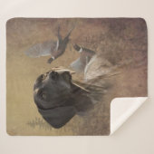 ドイツ語ポインタ・ドイツ語Kurzhaar シェルパブランケット (正面(横))