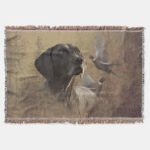 ドイツ語ポインタ・ドイツ語Kurzhaar