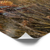 ドイツ語ポインタ、ドイツ語Kurzhaar Tapes ポスター (コーナー)