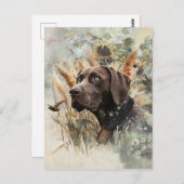 ドイツ語ポインタ ポストカード (正面/裏面)