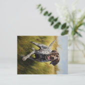 ドイツ語ポインタ ポストカード (スタンド正面)