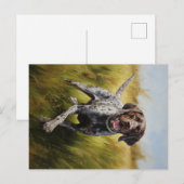 ドイツ語ポインタ ポストカード (正面/裏面)