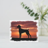 ドイツ語ポインタ ポストカード (スタンド正面)