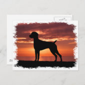 ドイツ語ポインタ ポストカード (正面/裏面)