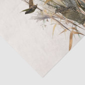 ドイツ語ポインタ 薄葉紙 (詳細)