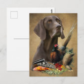 ドイツ語ポインタGSP ポストカード (正面/裏面)