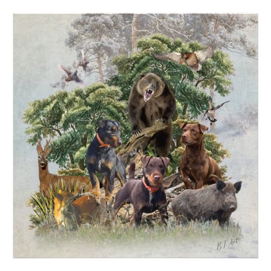 ドイツ語Jagdterrier、常に狩り準備 フォトプリント (正面)