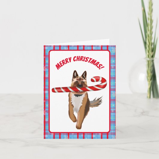 ドイツ風シェパードのキャンディークリスマス カード (正面)