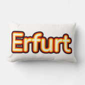 ドイツ・エルフルト ランバークッション (正面)