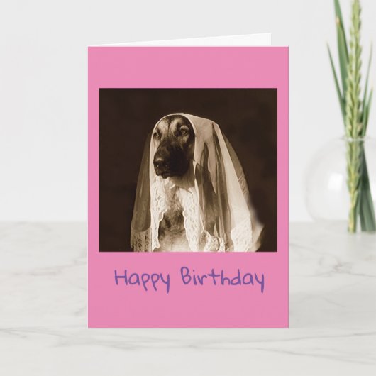 ドイツ・シェパードの誕生日カード サンキューカード (正面)