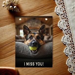 ドイツ・シェパード犬 寂しいよ ポストカード