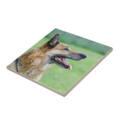 ドイツ·シェパード·サイド·ポートレート タイル (側面)