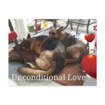 ドイツ・シェパード・ドッグ・ポストカード