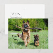ドイツ・シェパード 感謝の気持ちを伝えるポストカード ポストカード (正面/裏面)