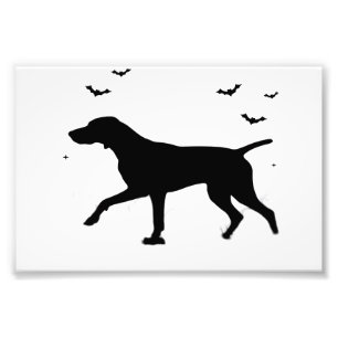 ドイツ・ショートヘアード・ポインター 犬 ハロウィン 月 シル フォトプリント