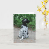 ドイツ・ショートヘア・ポインター・ピー カード (黄色い花)