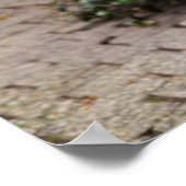 ドイツ，ゼブラの像 ポスター (角)