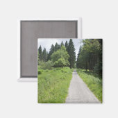 ドイツ、チューリンゲン、森の中の道 マグネット (正面/裏面)
