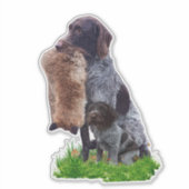 ドイツ・ドラフターシール シール (正面)