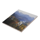 ドイツ、バイエルン、ノイシュワンシュタイン城。 タイル (側面)