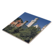 ドイツ、ババリア、ヌシュワンシュタイン城 タイル (側面)