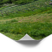 ドイツ、バンバーグの歴史的旧市街のパノラマ ポスター (角)