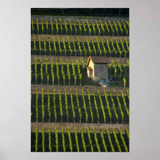 ドイツ、フランソニア、ヴェルテイム。特別な丘の斜面2 ポスター (正面)