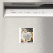 ドイツ、リューゲンのチョークの崖 マグネット (インサイチュ (食洗機))