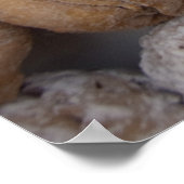 ドイツ、ローテンブルク。典型的なローテンブルク2 ポスター (角)